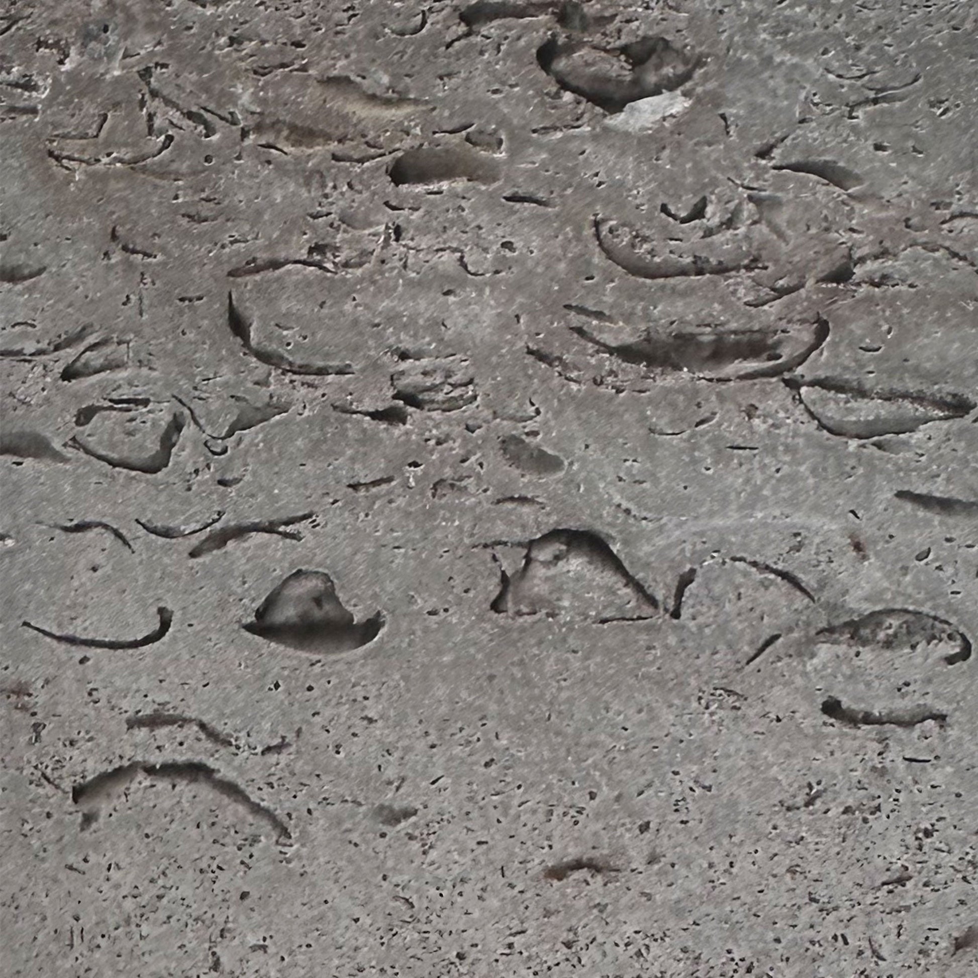 Meininger Muschelkalk